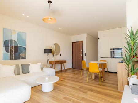Apartment For Rent 1+1 In Ali Dem (ID B2101213) Tirane