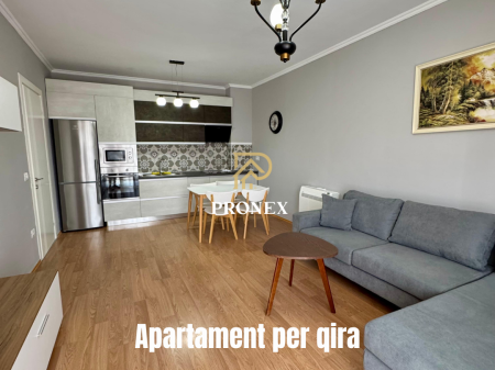 Apartament 1+1 per qira Rruga e Kavajes