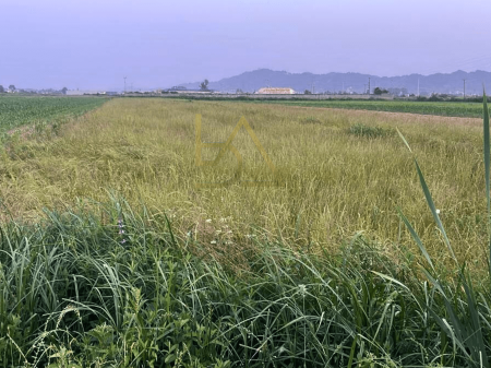 Land for Sale in Bilaj
