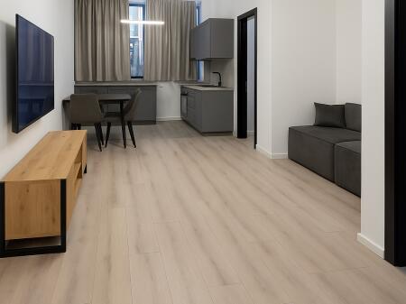 APPARTAMENTO IN AFFITTO 1+1 NEL CENTRO DI TIRANA, VIALONE ZOGU 1