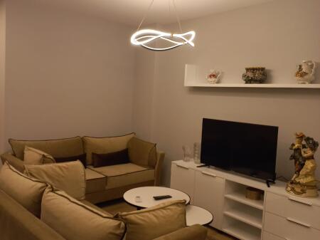 APARTMENT FOR RENT 1+1 PARIS MUNICIPALITY 60,000 LEKE