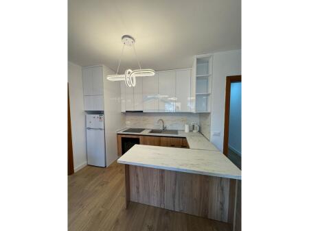 RENT APARTMENT 2+1 OPPOSITE DELIJORGJI