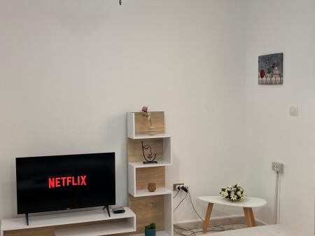 Apartament 1+1 me qera zogu i zi