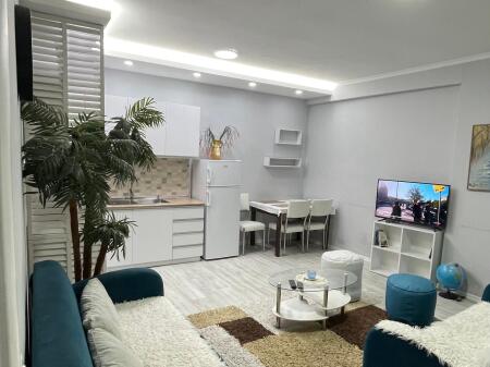 APPARTAMENTO IN AFFITTO 1+1 COMUNE DI PARIGI 65.000 LEKE