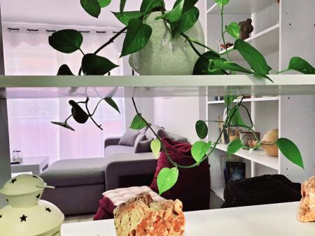 Super appartamento in affitto in Via Elbasan
