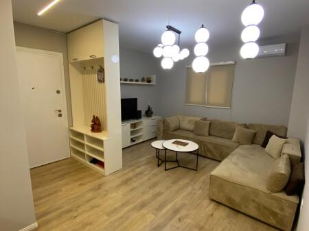 APARTMENT FOR RENT 1+1+BALCONY PARIS MUNICIPALITY 65,000 LEKE