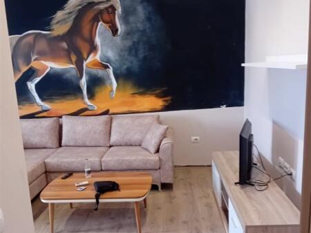 🏡 Appartamento 1+1 in affitto Ponte di Nisharaku