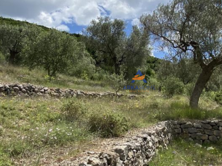 FOR SALE 4000 M2 LAND "PETRELE" 300,000 EURO