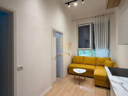 Rent, Apartment 1+1, 21 Dhjetori, 500 Euro/month
