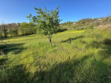 3500 m2 land for sale near the Kashar lake – with tourist potential!