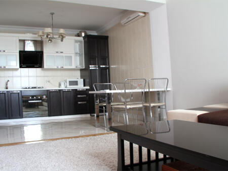 Apartament Me Qera 1+1 Ne Fresk (ID B2101243) Tirane