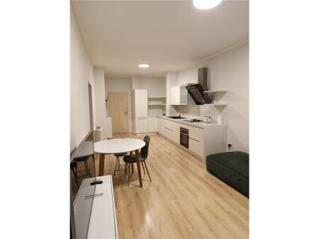 Apartament 1+1 per qira tek Pazari i Ri