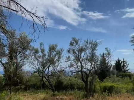 Shitet toke 3200 m2 ne Dhermi