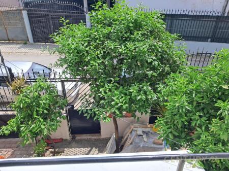 Apartment 2+1 for Rent – Near the Former Station, End of Tirana Re