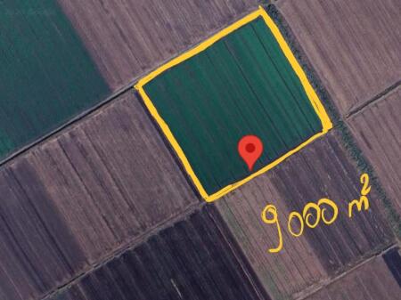 Agricultural Land for Sale 9,000 m² in Divjakë !! 45,000 €