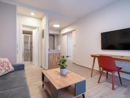 Apartment For Rent 1+1 In Vasil Shanto (ID B211378) Tirana