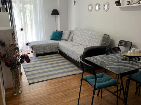 Appartamento In Affitto 1+1 A Astir (ID B2101249) Tirana