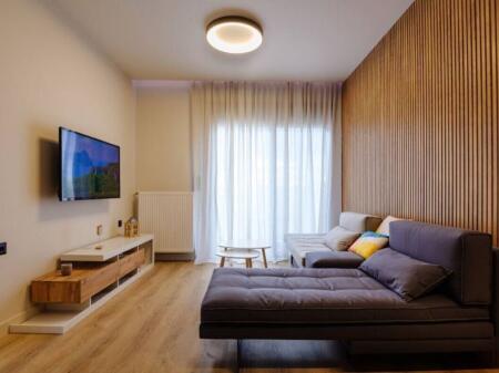 Appartamento in affitto 1+1 Al Complesso Square 21 (ID B210523) TIRANA