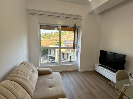 Jepet apartament 1+1 me qera, Ali Dem