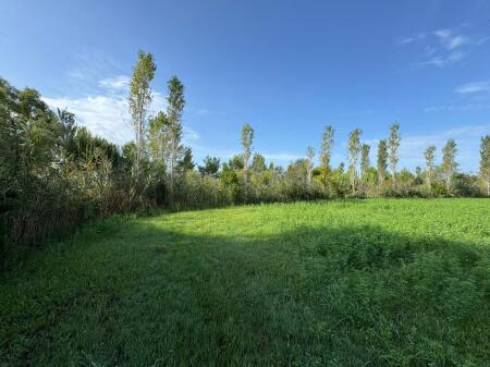 TERRENO IN VENDITA VICINO A PATOK 3.800 M2
