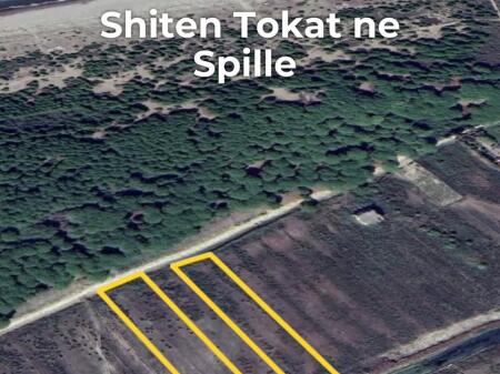 ⚡️ Shiten tokat ne Spille prane detit⚡️