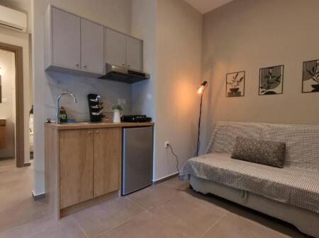 Villa in Affitto 1+1 Vicino al 21 Dicembre (ID BV22499) Tirana