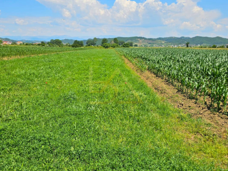 Terreno in Vendita – Hamallaj, Durrës