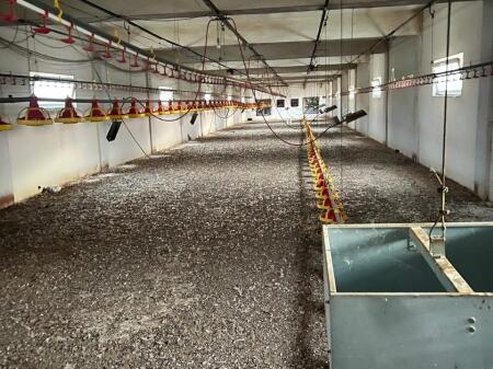 POULTRY BUILDING FOR SALE OR RENT IN POGRADEC