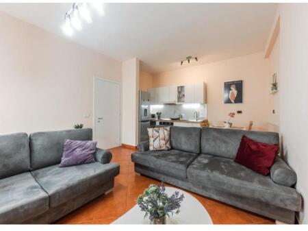 Apartament 1+1 për qira në Rr. Myslym Shyri.