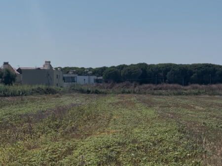 Land for sale on the Coast, Spille