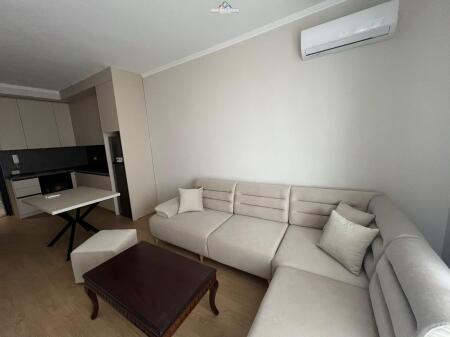 Apartament Me Qera 1+1 tek Mine Peza (ID B2101286) Tirane