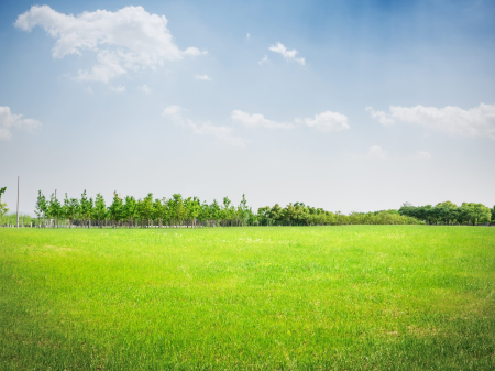 LAND FOR SALE IN PRUSH (KOMBINAT) 