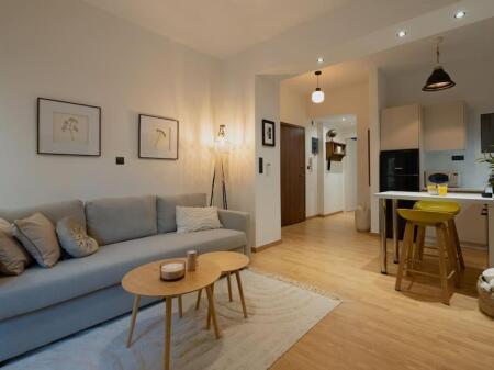 Apartment For Rent 1+1 At Dry Lake (ID B2101287) Tirana