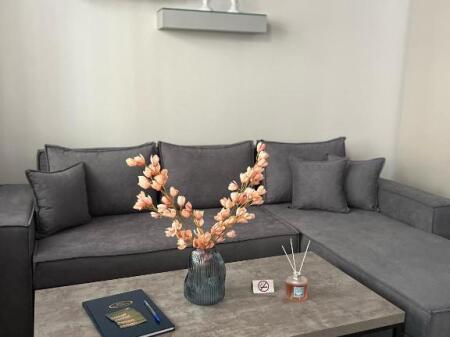 Apartament Me Qera 1+1 tek Kompleksi Delijorgji (ID B210882) Tirane.
