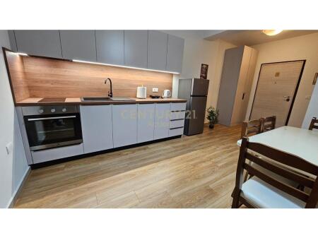 JAPIM ME QIRA APARTAMENT 2+1+2,RRUGA FROSINA PLAKU! 650 € /Muaj