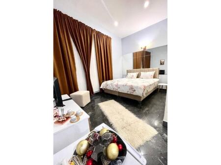 Comfortable studio apartment in a private villa – Rruga e Dibrës, immediate access to every service