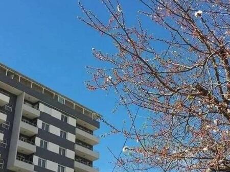 Appartamento in affitto 1+1, Vlore