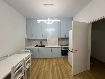 apartment 1+1 for rent