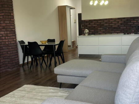 Jepet apartament 1+1 me qera tek Liqeni Thate , rr Peti