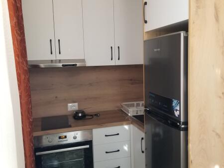 APARTMENT FOR RENT 2+1