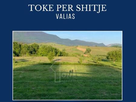 Land for sale in Valias