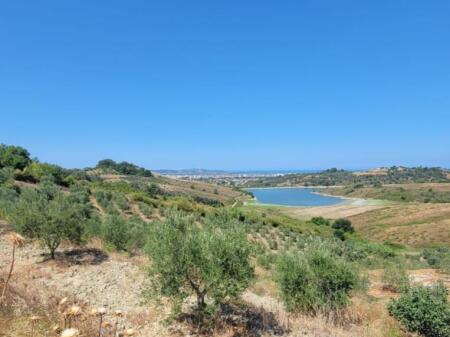 🔥Opportunity🔥 🌿Olive grove for sale in Momel, hillside with view of the lake & sea 🌊(near the agritourism in the hill)
