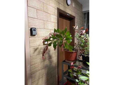 STUDIO -APPARTAMENTO 40m2 IN AFFITTO