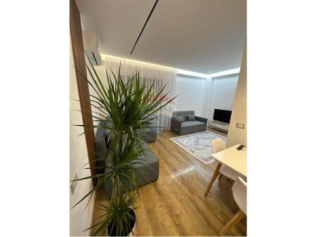 Apartment 1+1- For Rent - Liqeni i Thatë Street, Tirana