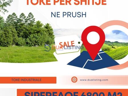 SHITET TOKE 6800 M2 NE PRUSH !!