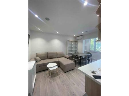 Apartment (1+1) for rent opposite Harry Fulltz !