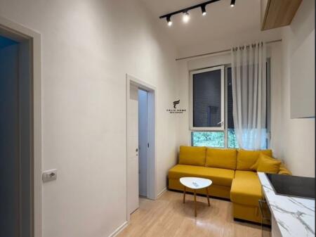 APARTMENT FOR RENT 1+1 21 DECEMBER 500 EURO