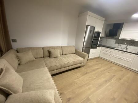 1+1,furnished for the first time, commune of Paris, the garden, 700 thousand lek