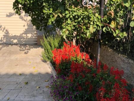🏡 Shtëpi për Qira pranë Universitetit Bujqësor të Tiranës