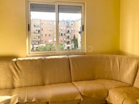 Apartament me qira 1+1, Ali Demi